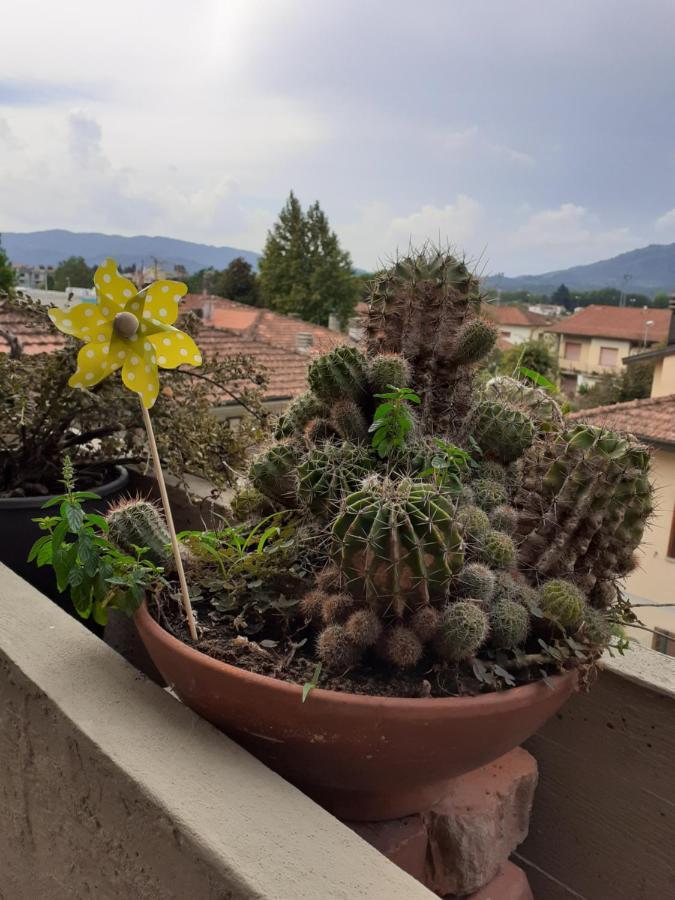 Apartament Locazione Turistica Chichibio Pistoia Zewnętrze zdjęcie